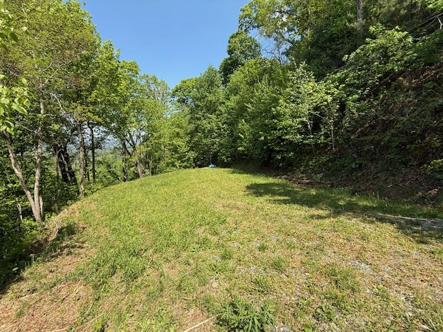 Lot 43 Silo View - Photo 4