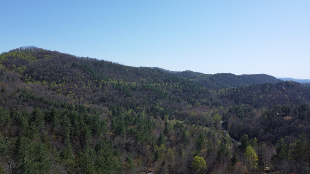 Lot 46 Kudzu Creek Trail #46, MURPHY, North Carolina image 3