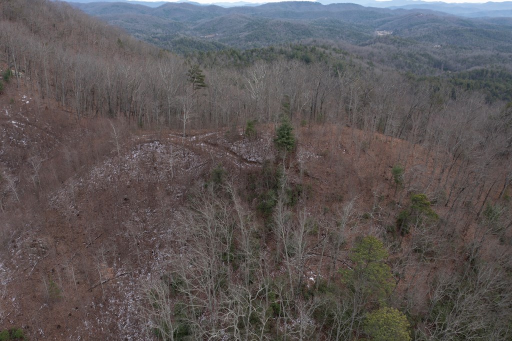 00 Craig Farm Road, MURPHY, North Carolina image 33