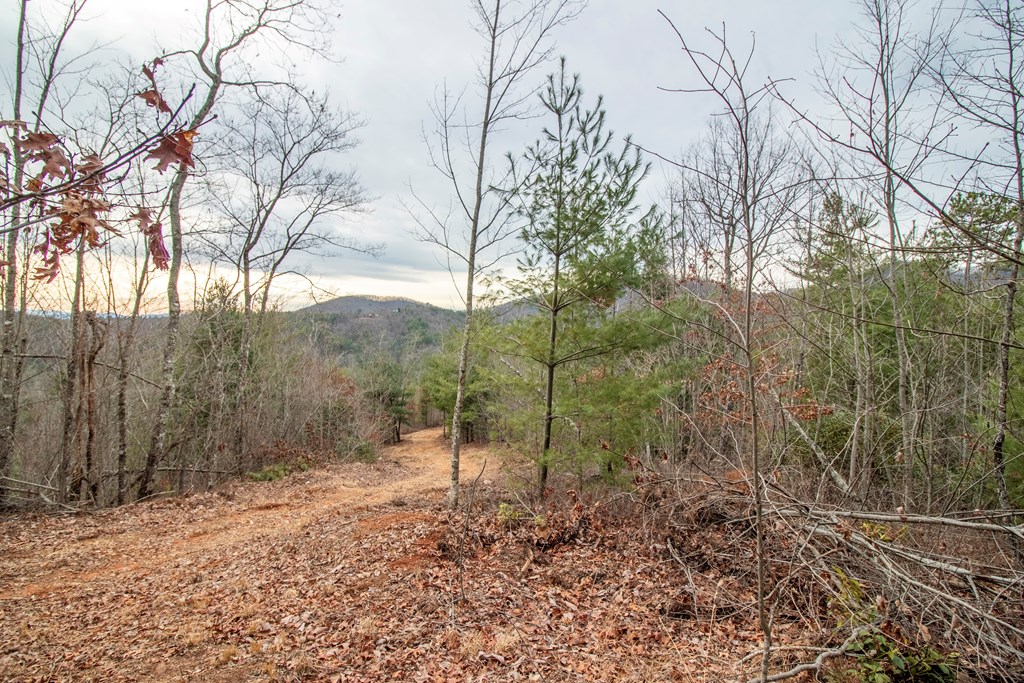 00 Craig Farm Road, MURPHY, North Carolina image 4