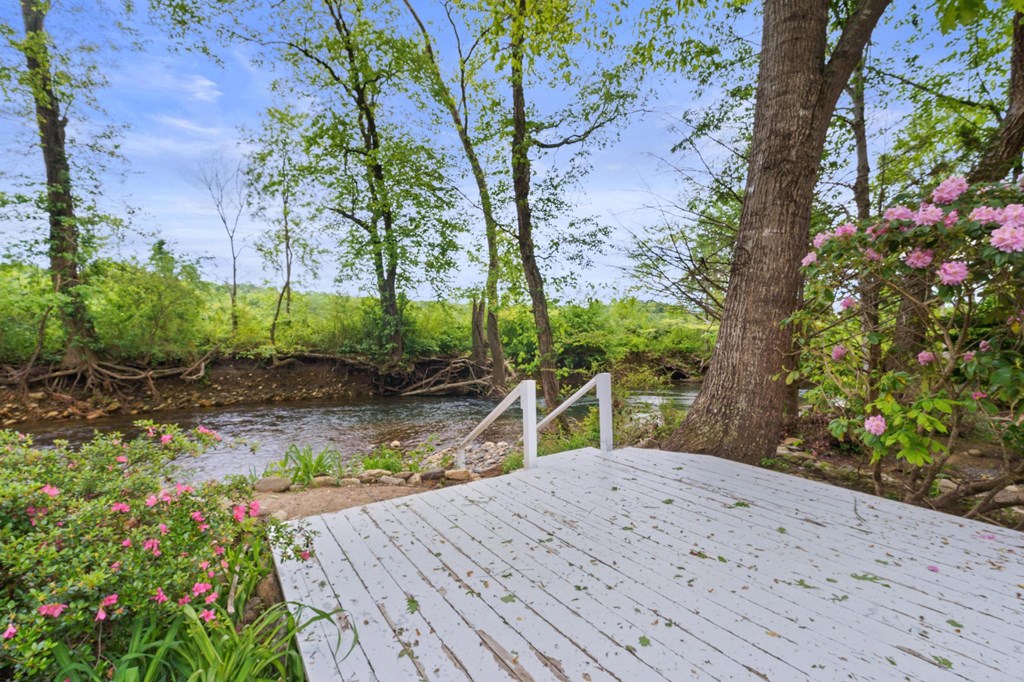 59 Tusquittee Creek Lane, HAYESVILLE, North Carolina image 13