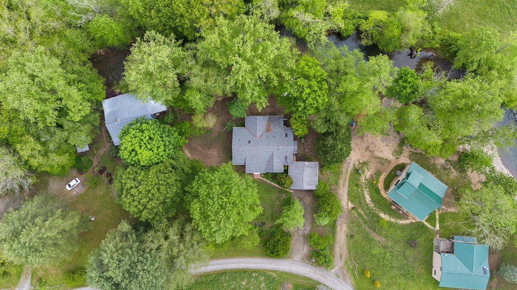 59 Tusquittee Creek Lane, HAYESVILLE, North Carolina image 6