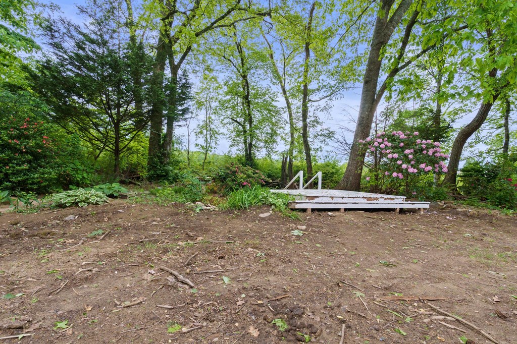 59 Tusquittee Creek Lane, HAYESVILLE, North Carolina image 12