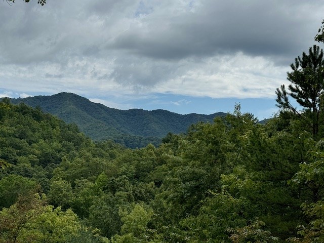 000 Valley View Heights, ANDREWS, North Carolina image 4