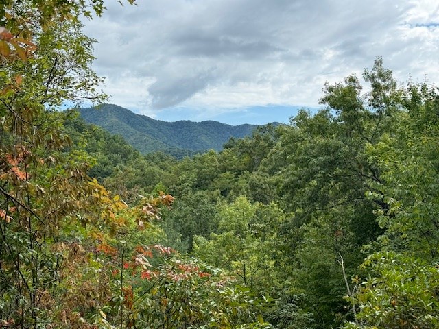 000 Valley View Heights, ANDREWS, North Carolina image 8