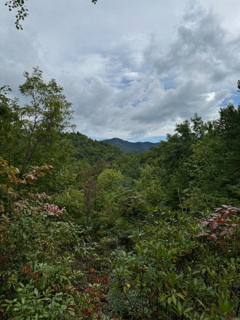 000 Valley View Heights, ANDREWS, North Carolina image 9