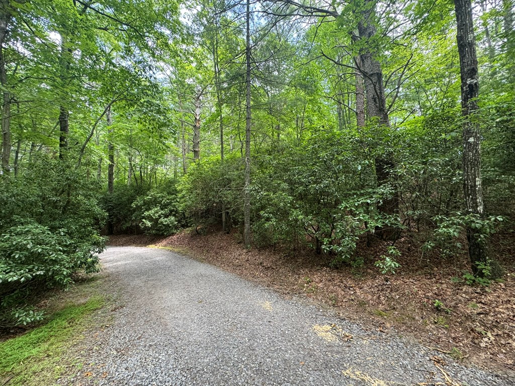 Lot 1 Laurelwood Circle #1, MURPHY, North Carolina image 33