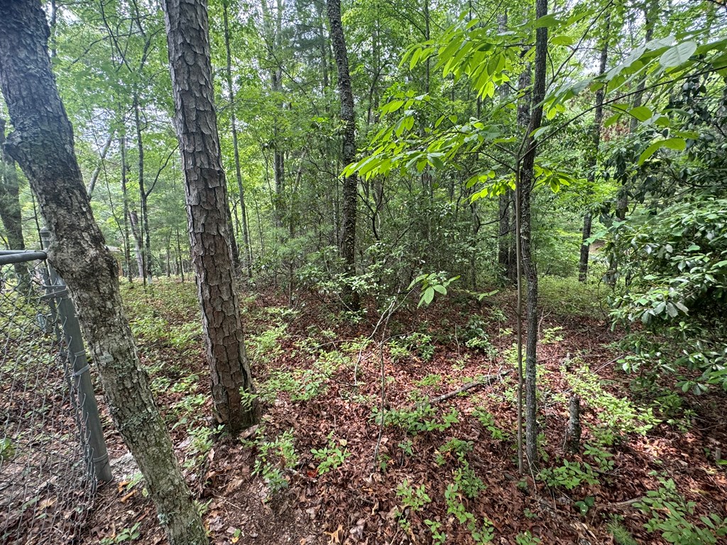 Lot 1 Laurelwood Circle #1, MURPHY, North Carolina image 25