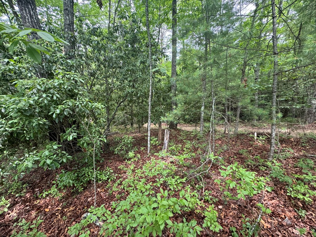 Lot 1 Laurelwood Circle #1, MURPHY, North Carolina image 26