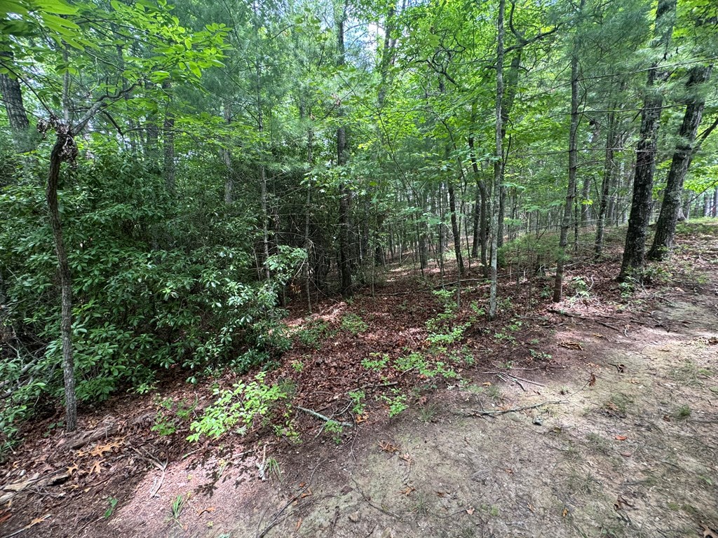 Lot 1 Laurelwood Circle #1, MURPHY, North Carolina image 8