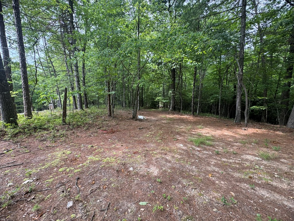 Lot 1 Laurelwood Circle #1, MURPHY, North Carolina image 16