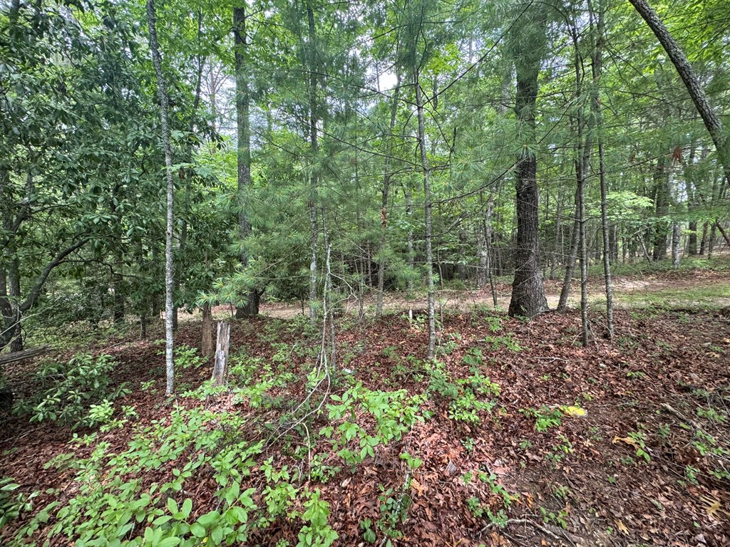 Lot 1 Laurelwood Circle #1, MURPHY, North Carolina image 27