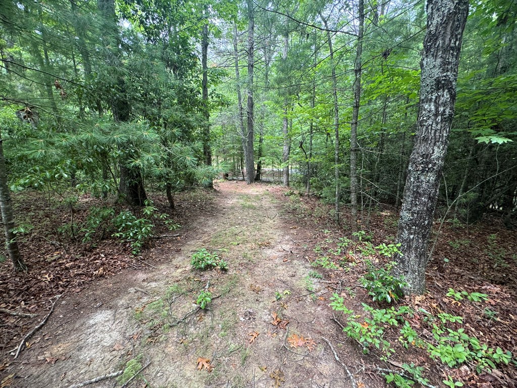 Lot 1 Laurelwood Circle #1, MURPHY, North Carolina image 28