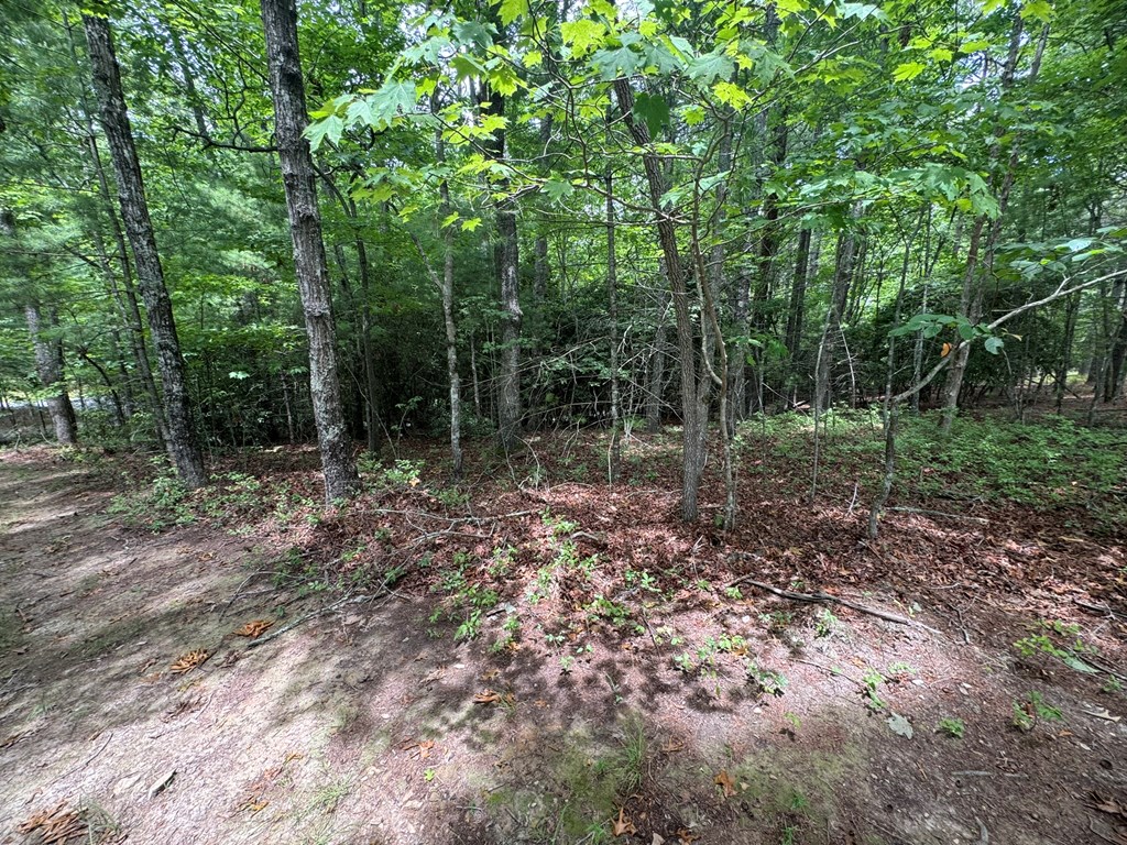 Lot 1 Laurelwood Circle #1, MURPHY, North Carolina image 10