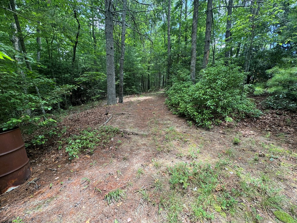 Lot 1 Laurelwood Circle #1, MURPHY, North Carolina image 5