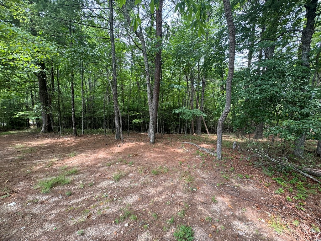 Lot 1 Laurelwood Circle #1, MURPHY, North Carolina image 15