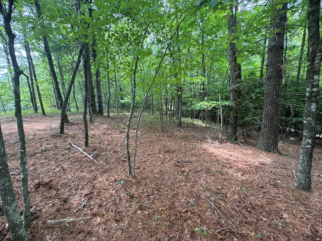 Lot 1 Laurelwood Circle #1, MURPHY, North Carolina image 19