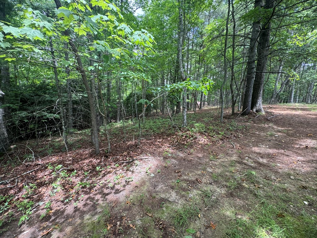 Lot 1 Laurelwood Circle #1, MURPHY, North Carolina image 9