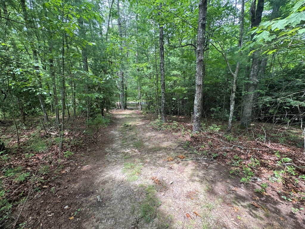 Lot 1 Laurelwood Circle #1, MURPHY, North Carolina image 11