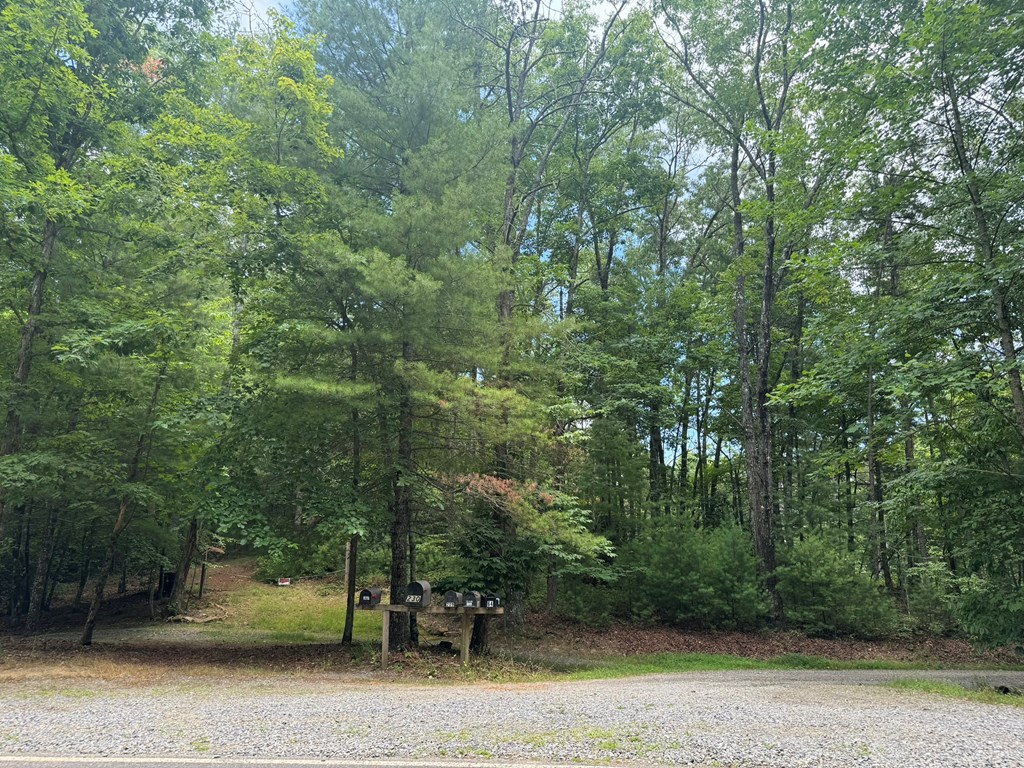 Lot 1 Laurelwood Circle #1, MURPHY, North Carolina image 37