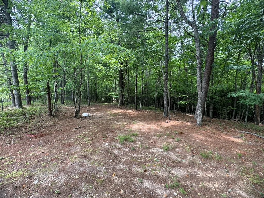 Lot 1 Laurelwood Circle #1, MURPHY, North Carolina image 1