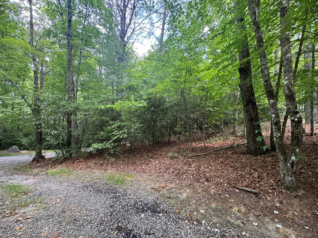 Lot 1 Laurelwood Circle #1, MURPHY, North Carolina image 31