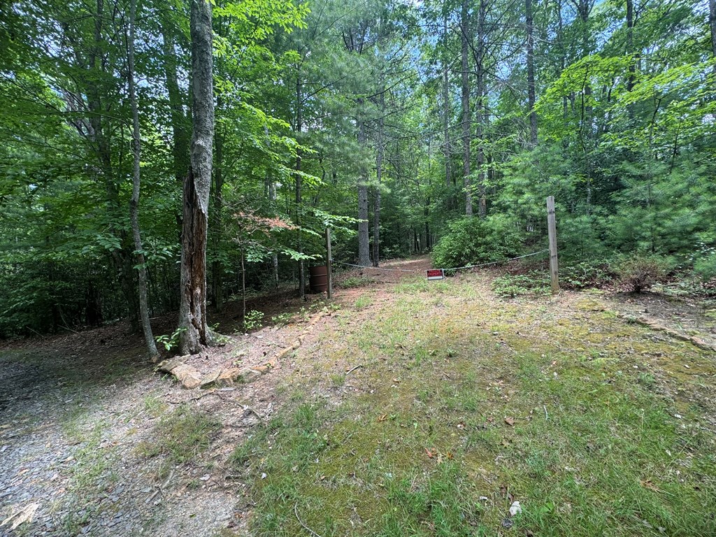 Lot 1 Laurelwood Circle #1, MURPHY, North Carolina image 3