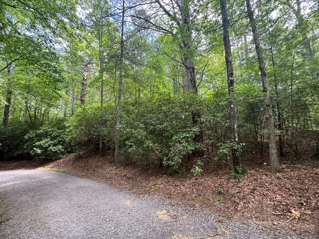 Lot 1 Laurelwood Circle #1, MURPHY, North Carolina image 32