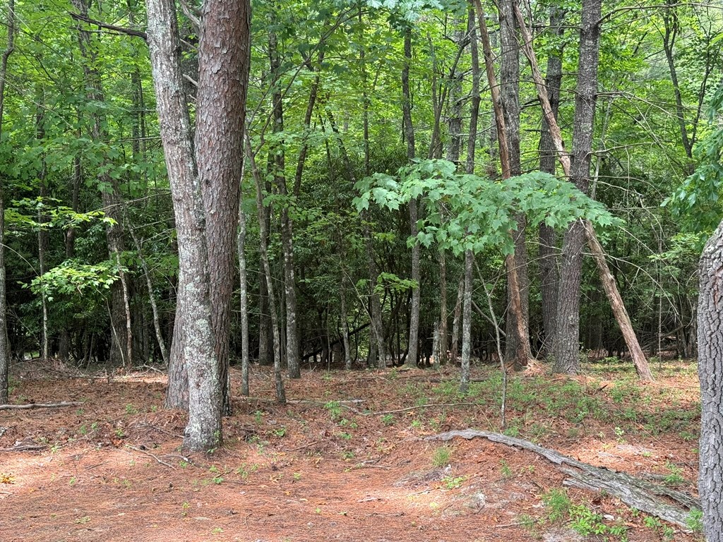 Lot 1 Laurelwood Circle #1, MURPHY, North Carolina image 14