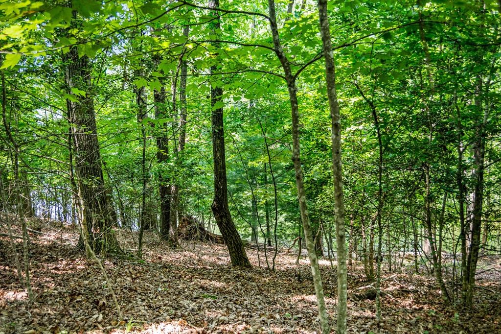 Lot 25 Talon Trace #25, BLAIRSVILLE, Georgia image 13