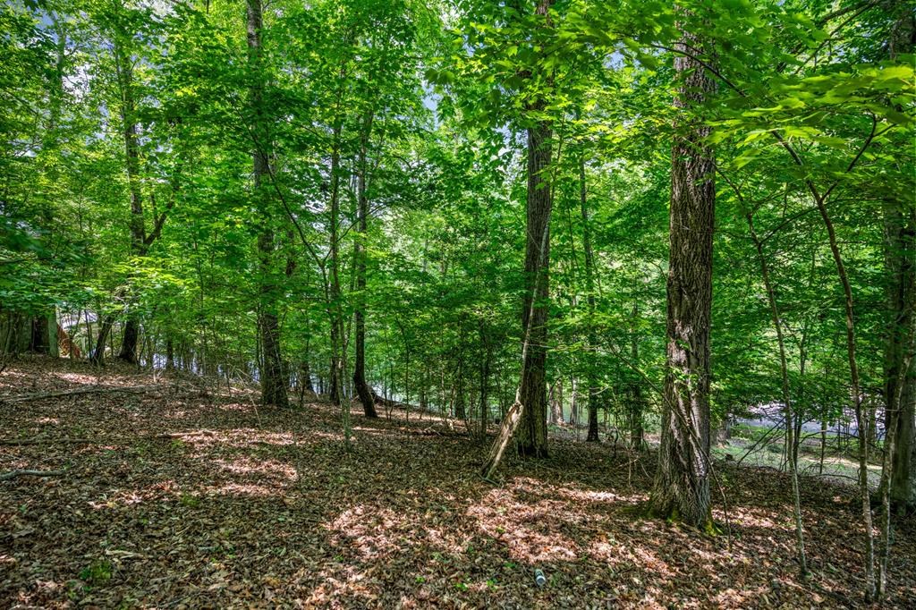 Lot 25 Talon Trace #25, BLAIRSVILLE, Georgia image 14