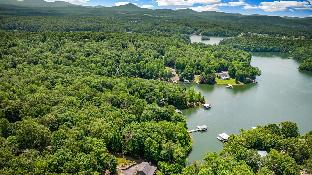 Lot 25 Talon Trace #25, BLAIRSVILLE, Georgia image 19