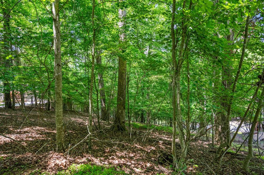Lot 25 Talon Trace #25, BLAIRSVILLE, Georgia image 12