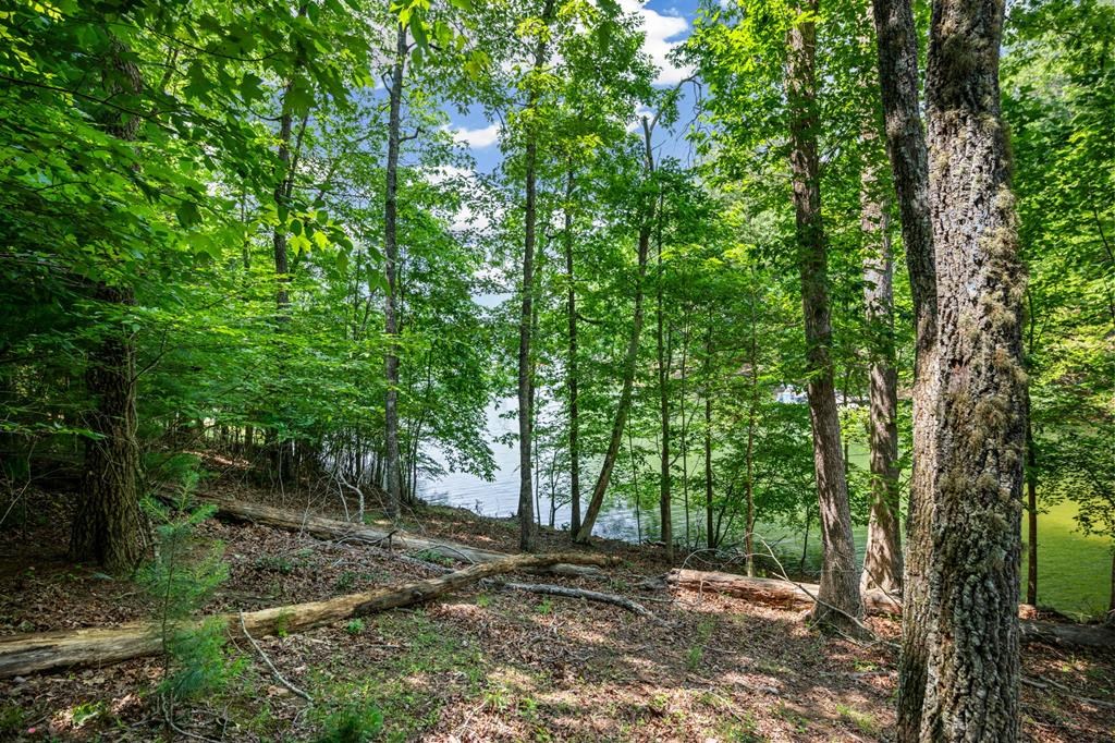 Lot 25 Talon Trace #25, BLAIRSVILLE, Georgia image 9