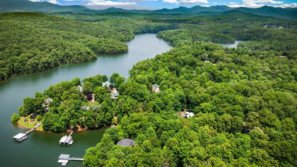 Lot 25 Talon Trace #25, BLAIRSVILLE, Georgia image 2