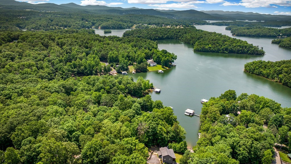 Lot 25 Talon Trace #25, BLAIRSVILLE, Georgia image 17