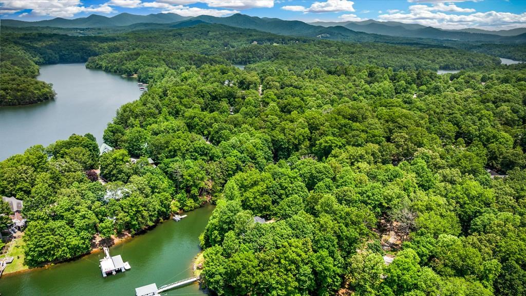 Lot 25 Talon Trace #25, BLAIRSVILLE, Georgia image 16