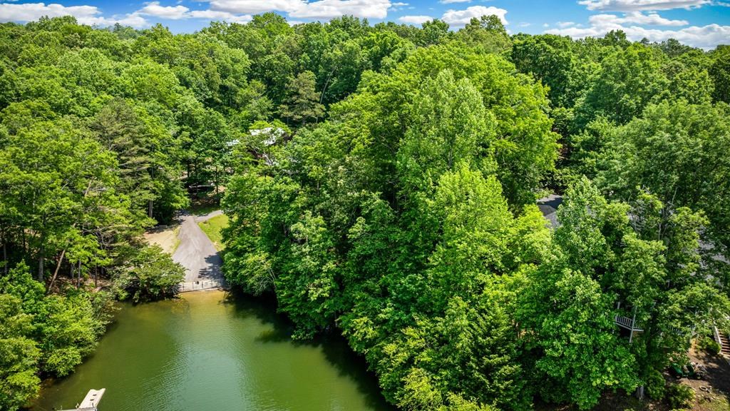 Lot 25 Talon Trace #25, BLAIRSVILLE, Georgia image 4