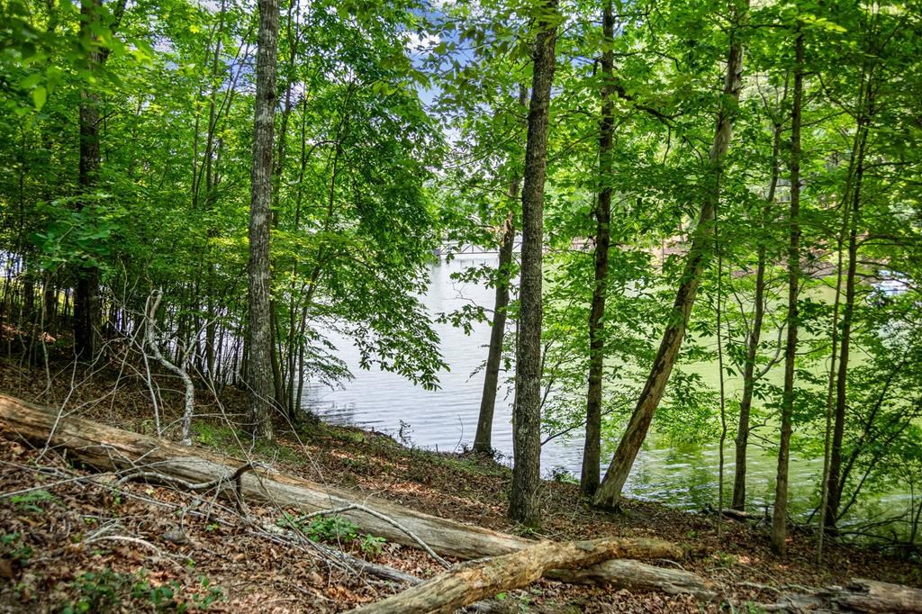 Lot 25 Talon Trace #25, BLAIRSVILLE, Georgia image 10