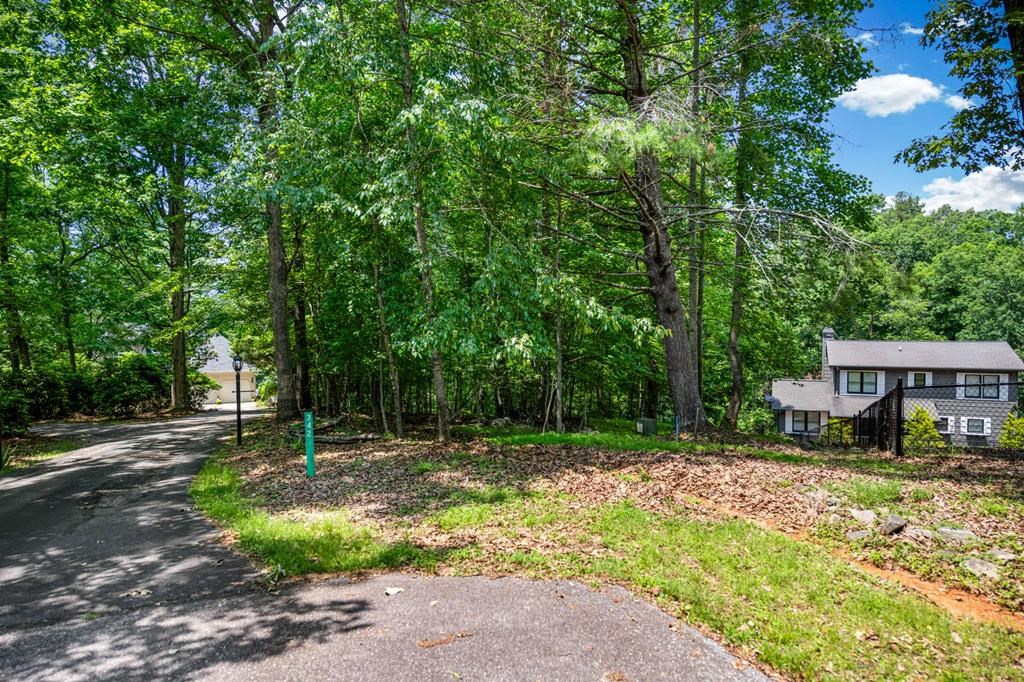 Lot 25 Talon Trace #25, BLAIRSVILLE, Georgia image 15