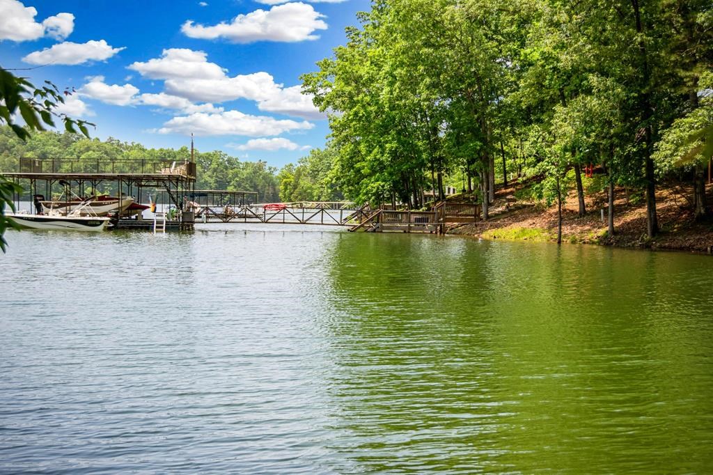 Lot 25 Talon Trace #25, BLAIRSVILLE, Georgia image 7
