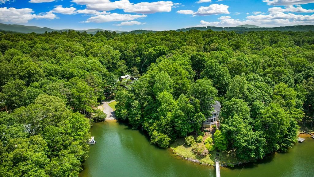 Lot 25 Talon Trace #25, BLAIRSVILLE, Georgia image 3