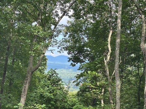 Vacant Land For Sale - LT 64/65 Rocky Knob Estates #64,65<br/> YOUNG HARRIS, GA 30582