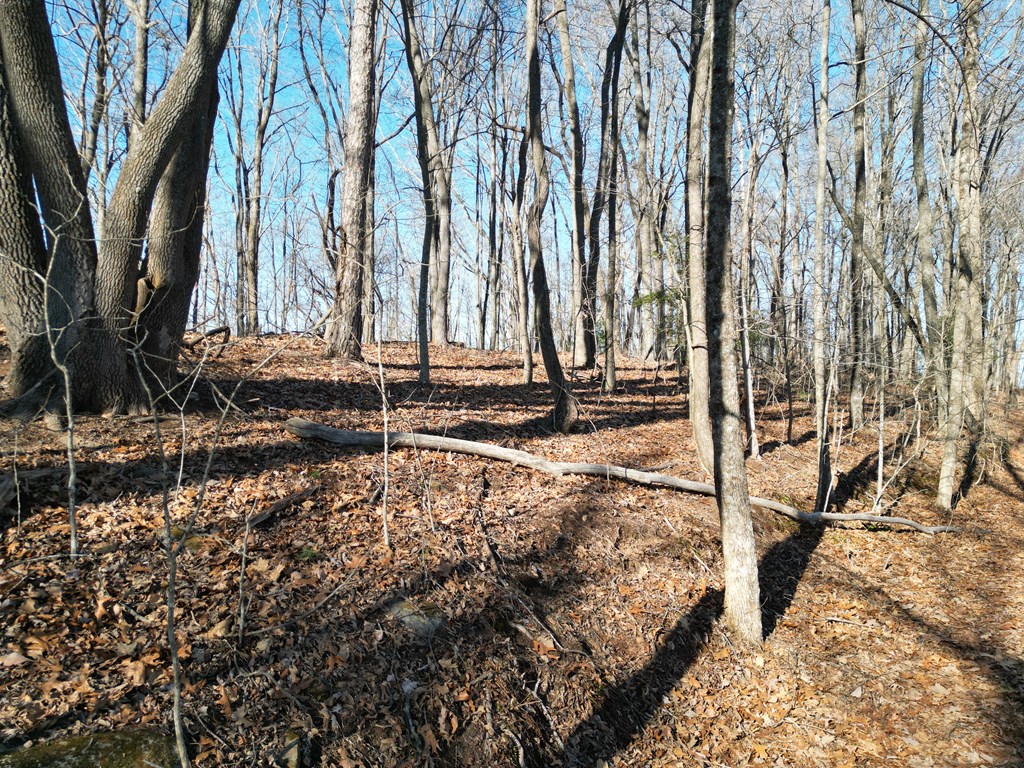 20.05 Ac Treehouse Trail #5-23, MURPHY, North Carolina image 7