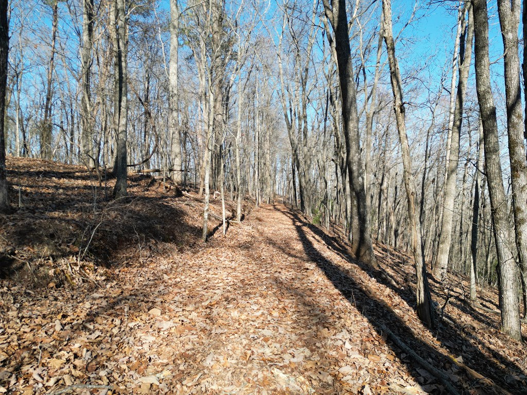 20.05 Ac Treehouse Trail #5-23, MURPHY, North Carolina image 5