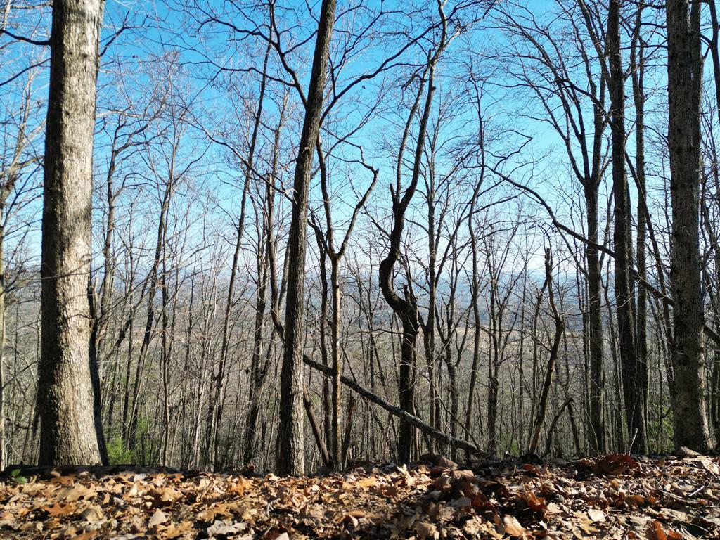 20.05 Ac Treehouse Trail #5-23, MURPHY, North Carolina image 2