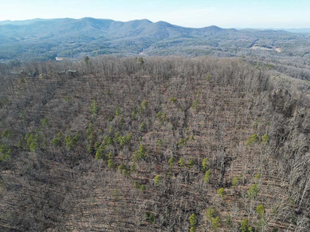 20.05 Ac Treehouse Trail #5-23, MURPHY, North Carolina image 13