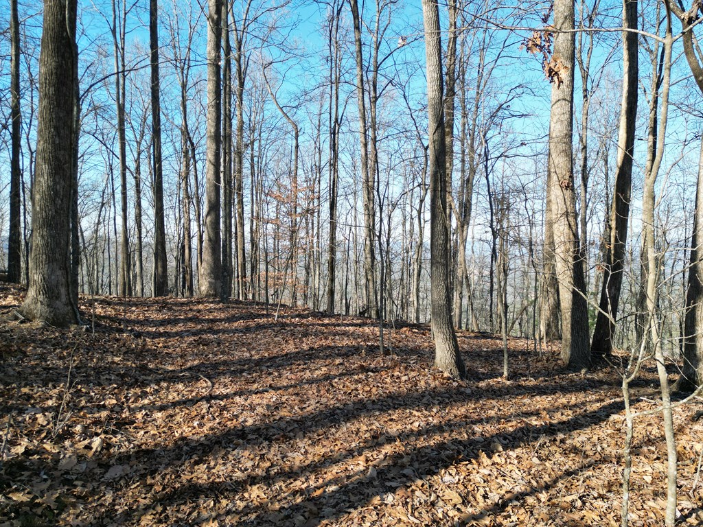 20.05 Ac Treehouse Trail #5-23, MURPHY, North Carolina image 10