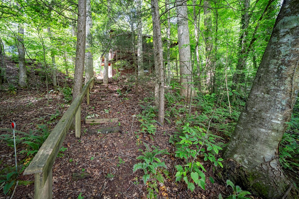 328 Forest Lakes, ROBBINSVILLE, North Carolina image 3