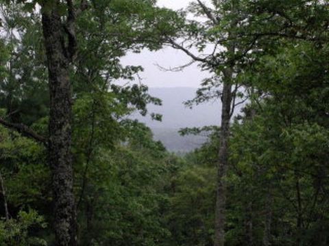 Vacant Land For Sale - 19D&E Braves Landing #19DE<br/> MURPHY, NC 28906